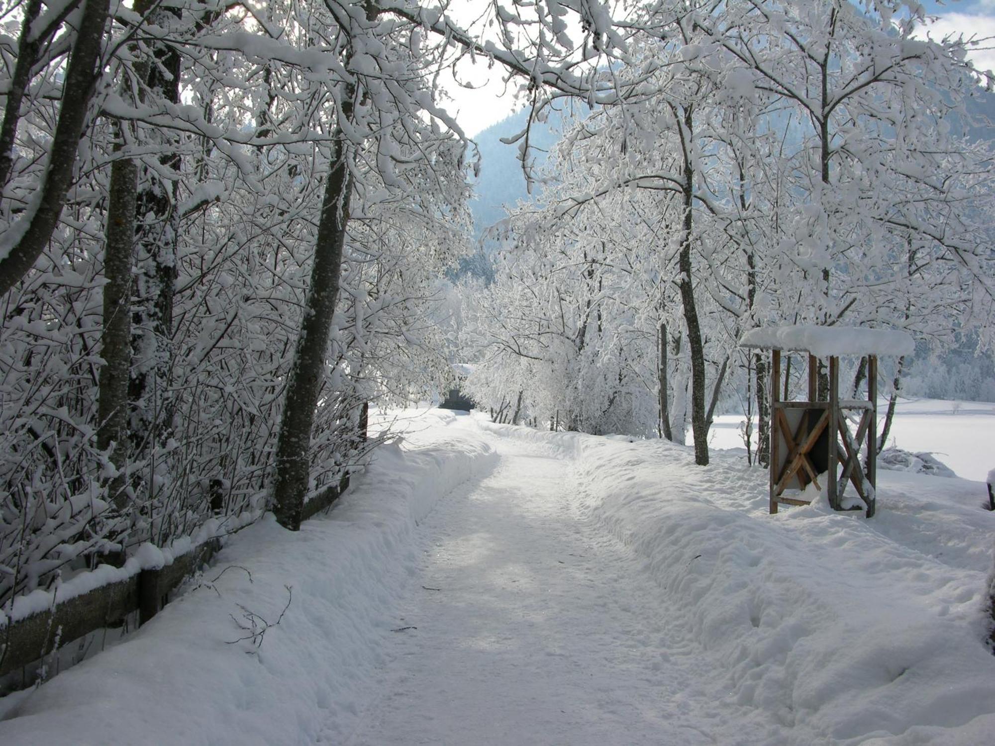 Haus Seeblick Am See Thiersee Eksteriør billede